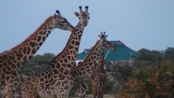 Narasha Homestay - Maasai Mara Talek Exteriör bild