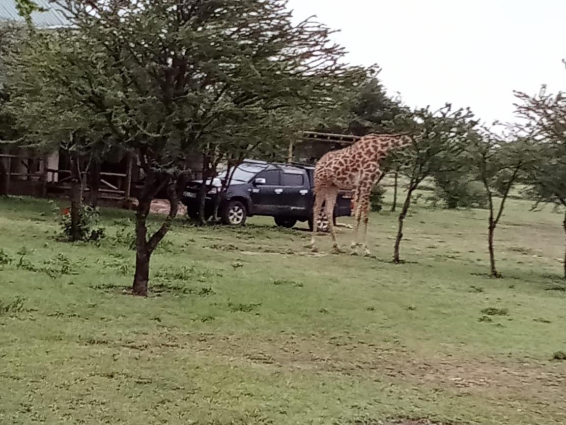 Narasha Homestay - Maasai Mara Talek Exteriör bild