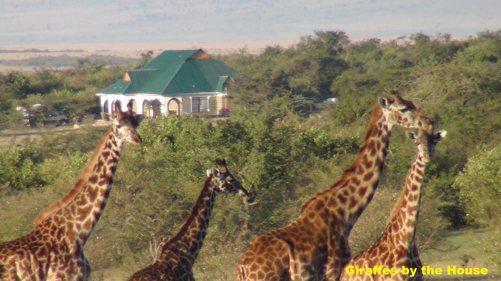 Narasha Homestay - Maasai Mara Talek Exteriör bild