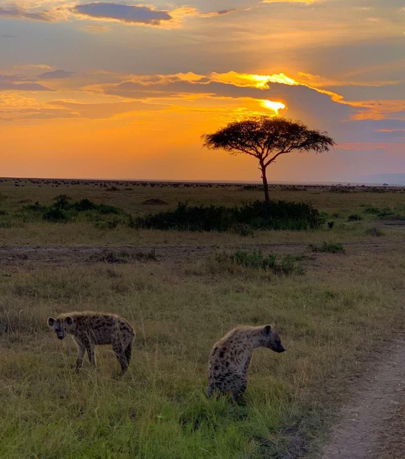 Narasha Homestay - Maasai Mara Talek Exteriör bild