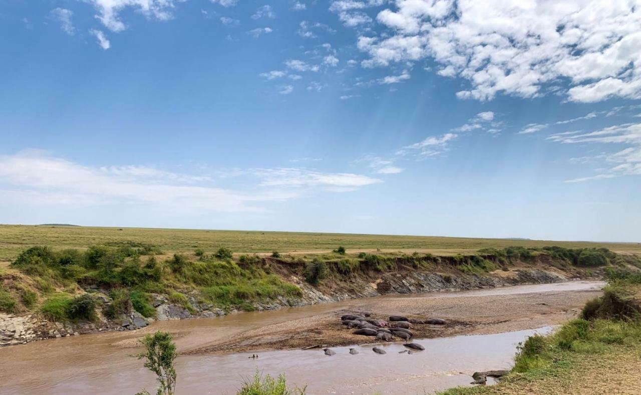 Narasha Homestay - Maasai Mara Talek Exteriör bild